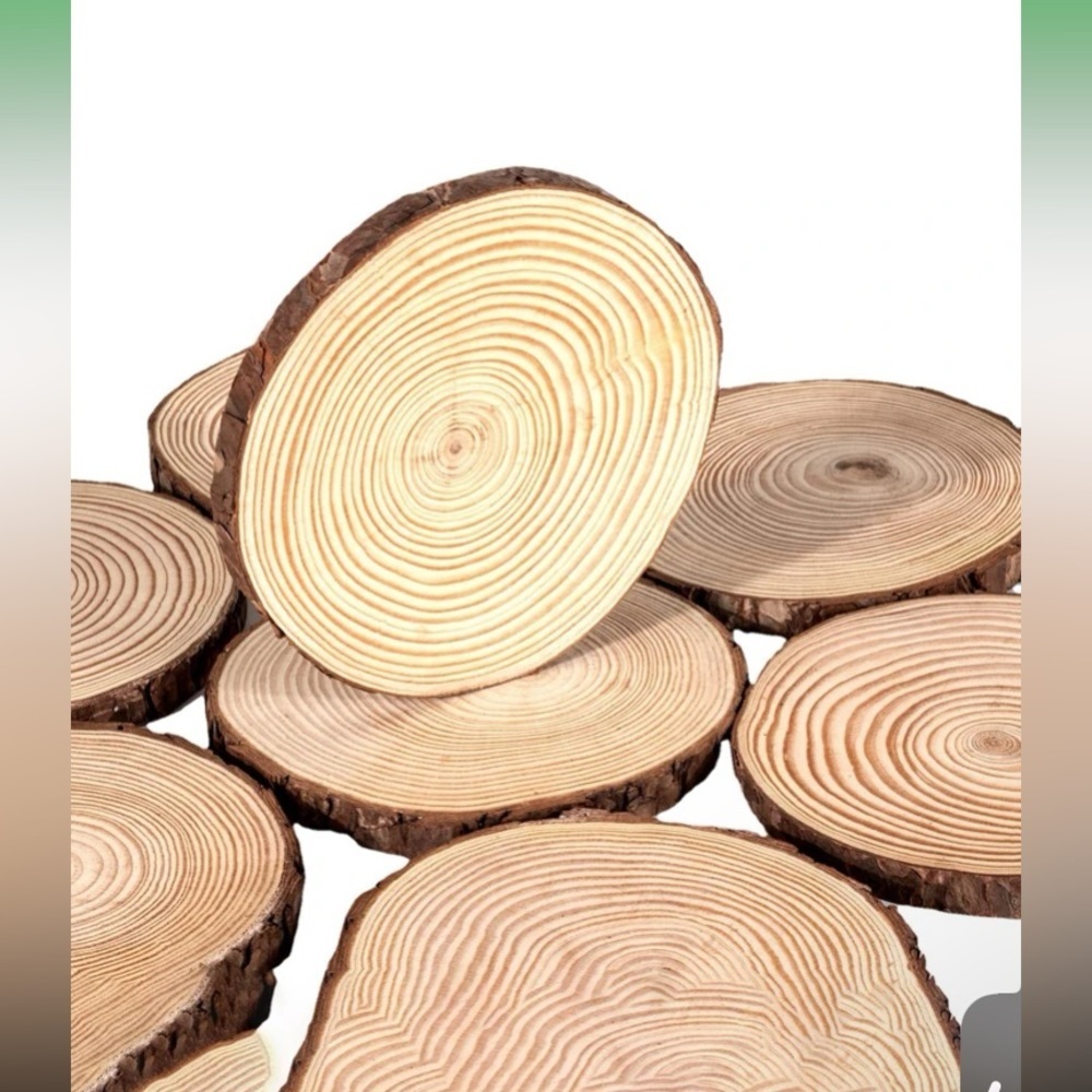 1set/6pcs 10-12cm Round Pine Wood Slices For Diy Crafts - Picture 10 of 16